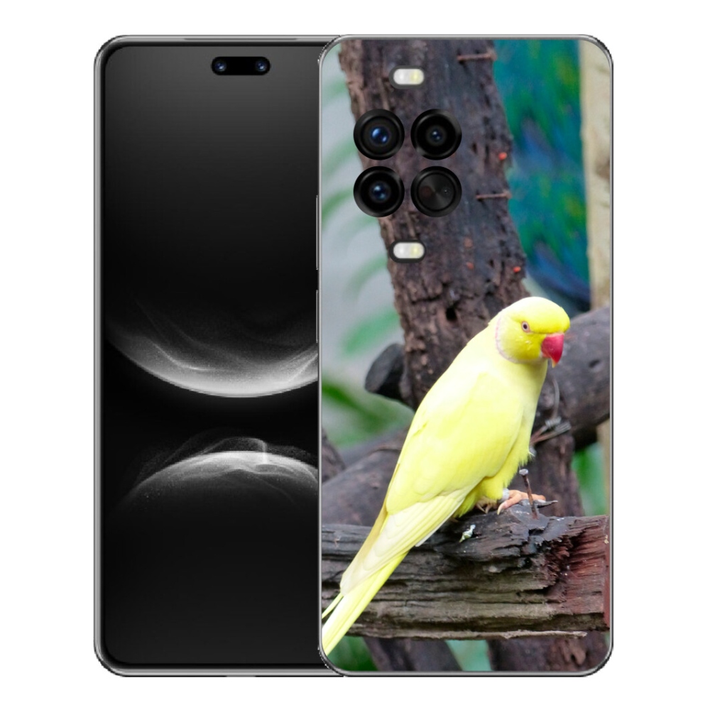mmCase géltok a Huawei Nova 14 Pro-hoz – sárga alexandri papagáj