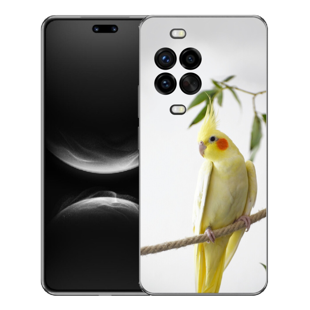mmCase géltok a Huawei Nova 14 Pro-hoz – tollas papagáj