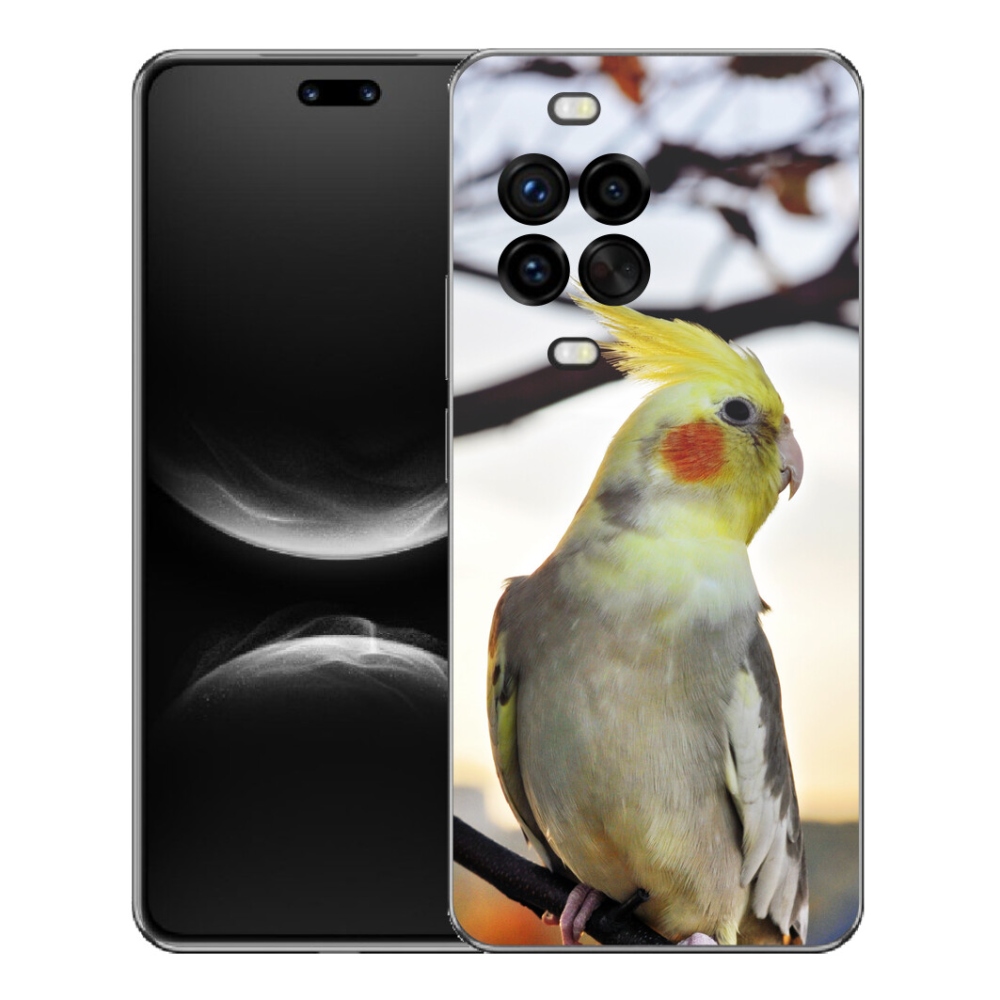 mmCase géltok a Huawei Nova 14 Pro-hoz – korella papagáj