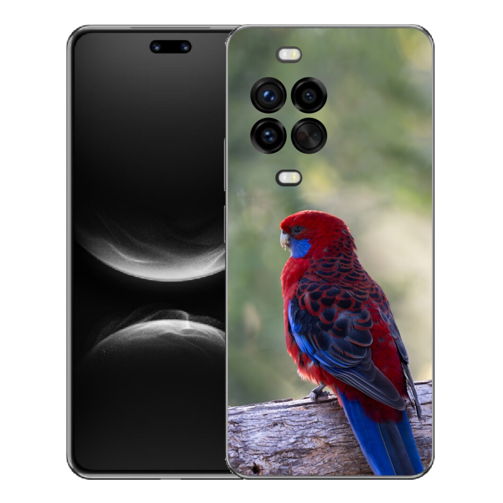 mmCase géltok a Huawei Nova 14 Pro-hoz – rosella papagáj