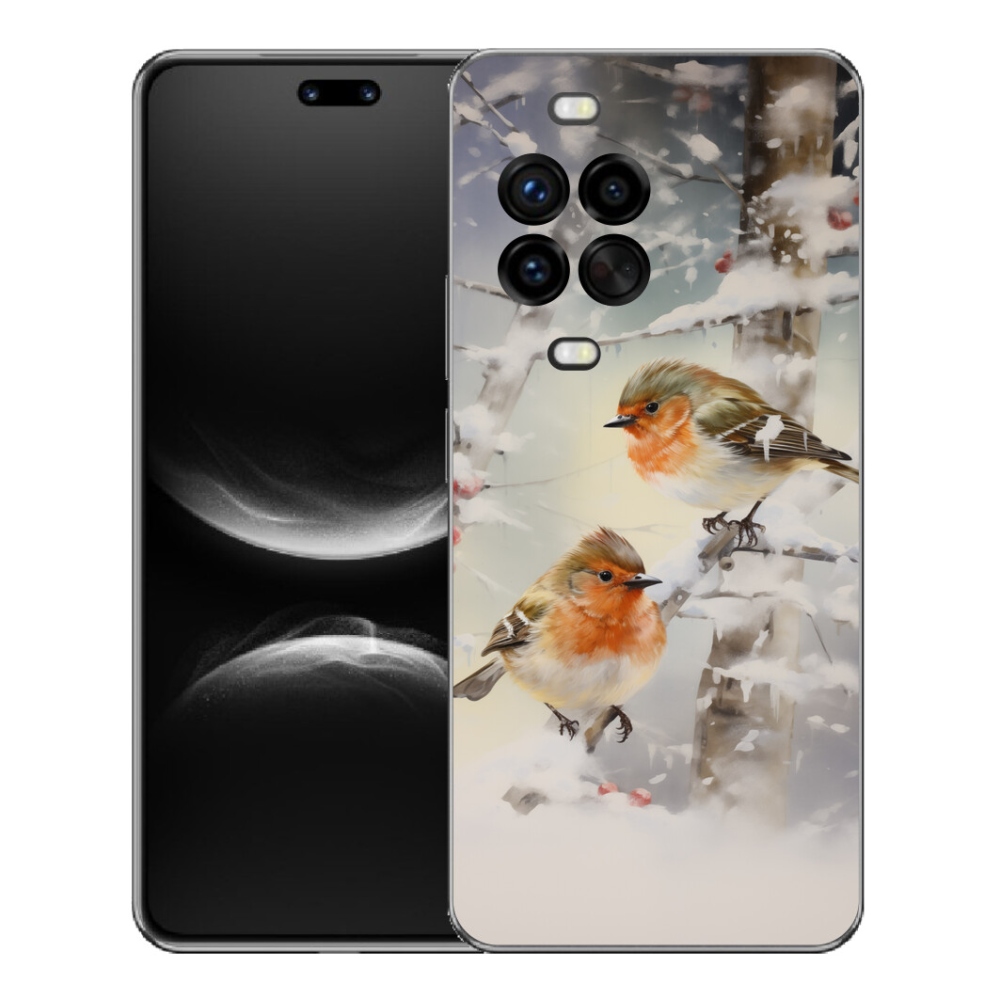 mmCase géltok a Huawei Nova 14 Pro-hoz – madarak télen