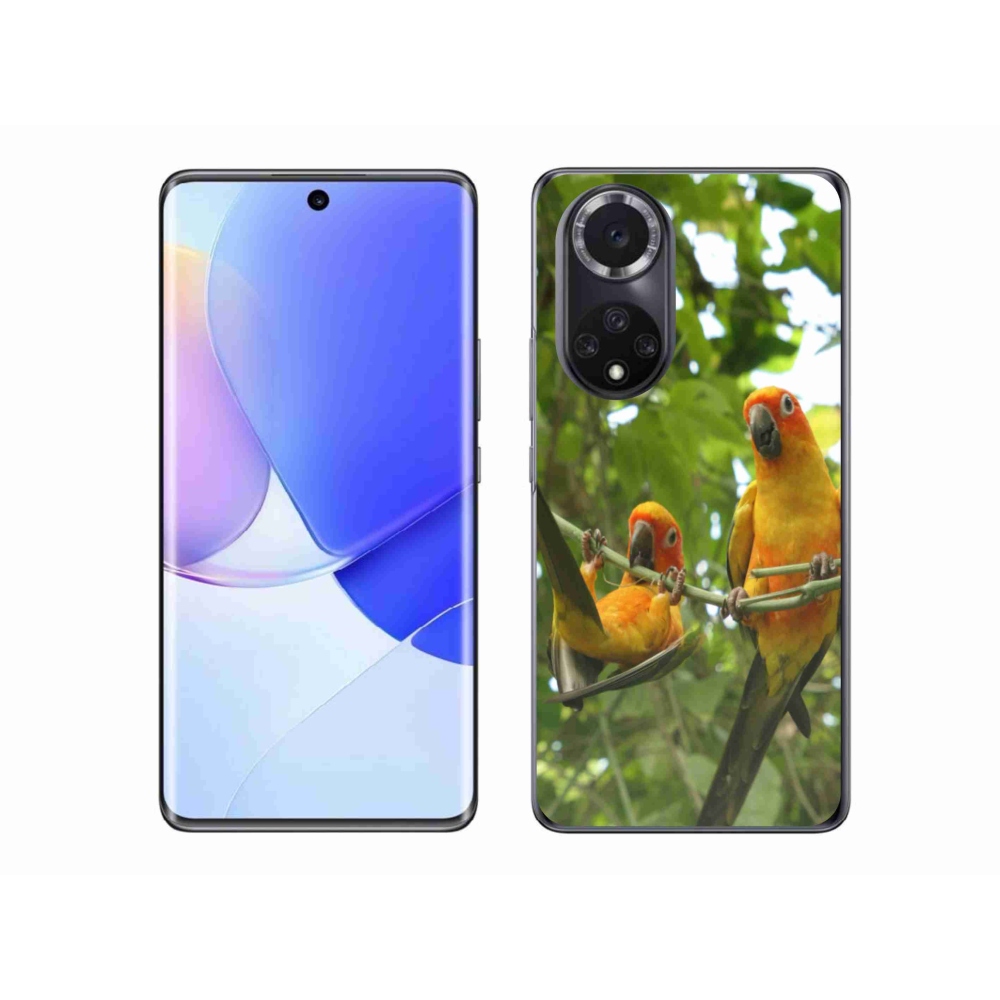 Gél borító mmCase a Huawei Nova 9 - papagájok aratingy