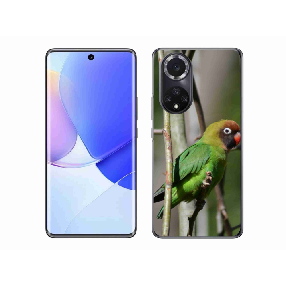 Gél borító mmCase a Huawei Nova 9 készülékhez - papagáj agapornis
