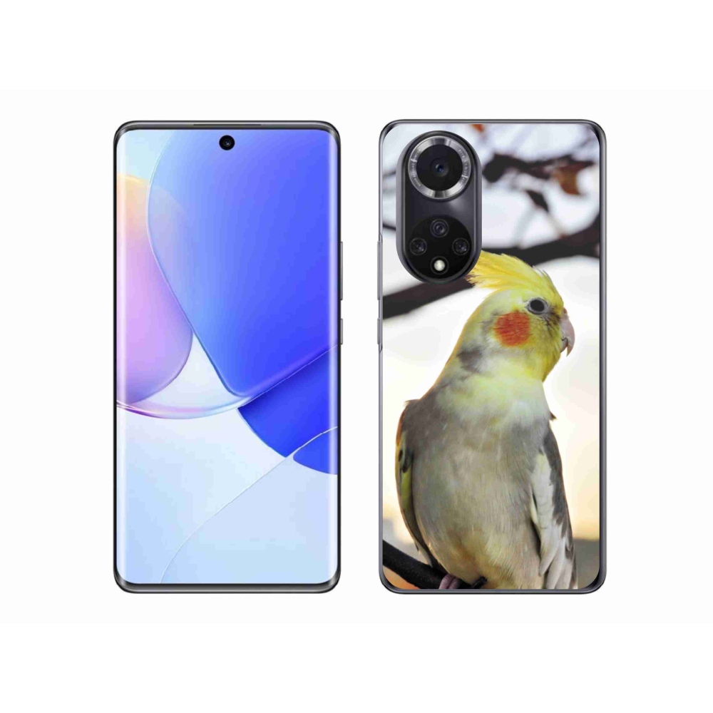 Gél borító mmCase a Huawei Nova 9 készülékre - papagáj korela