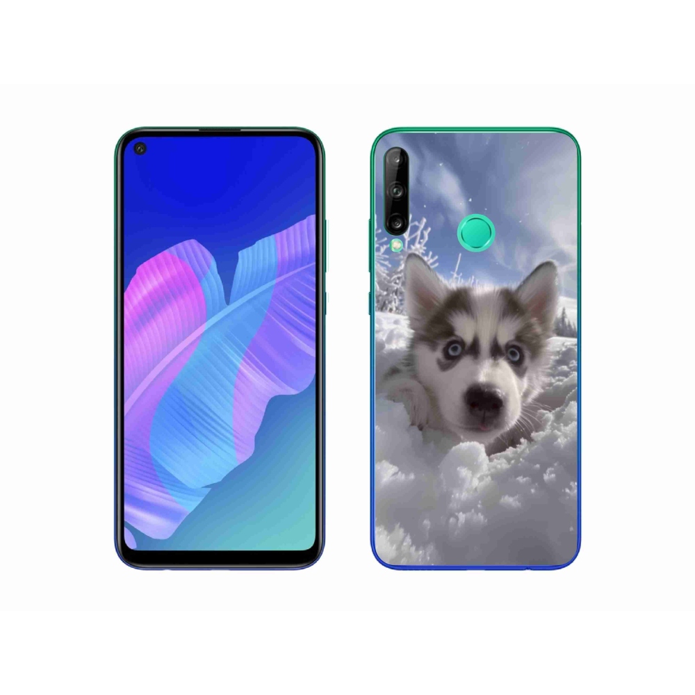Gél borítás mmCase a Huawei P40 Lite E számára - husky a hóban
