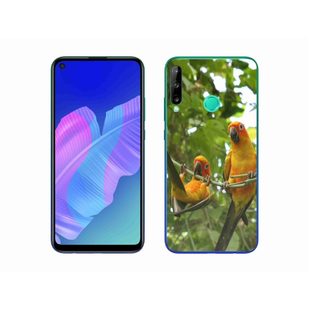 Gél borítás mmCase a Huawei P40 Lite E számára - papagájok aratingy