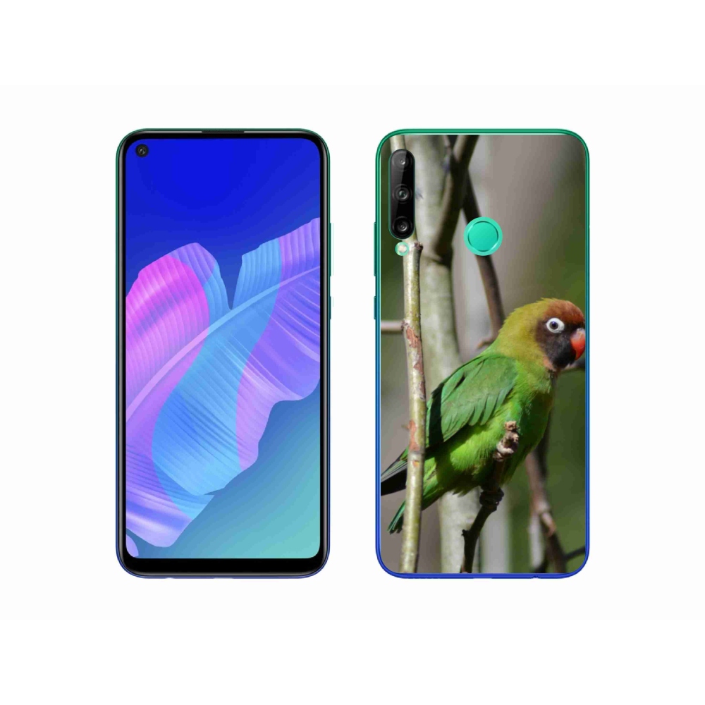 Gél borítás mmCase a Huawei P40 Lite E számára - papagáj agapornis