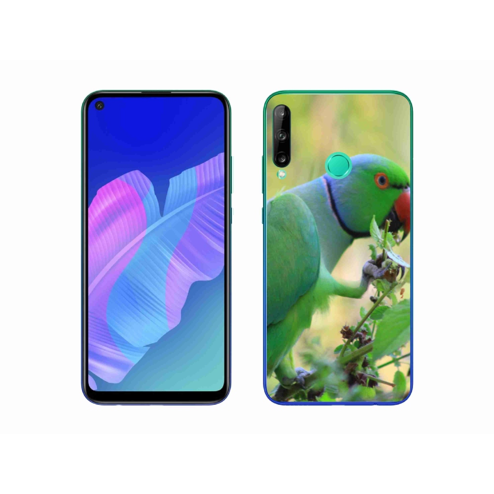 Gél borítás mmCase a Huawei P40 Lite E készülékhez - papagáj alexandr