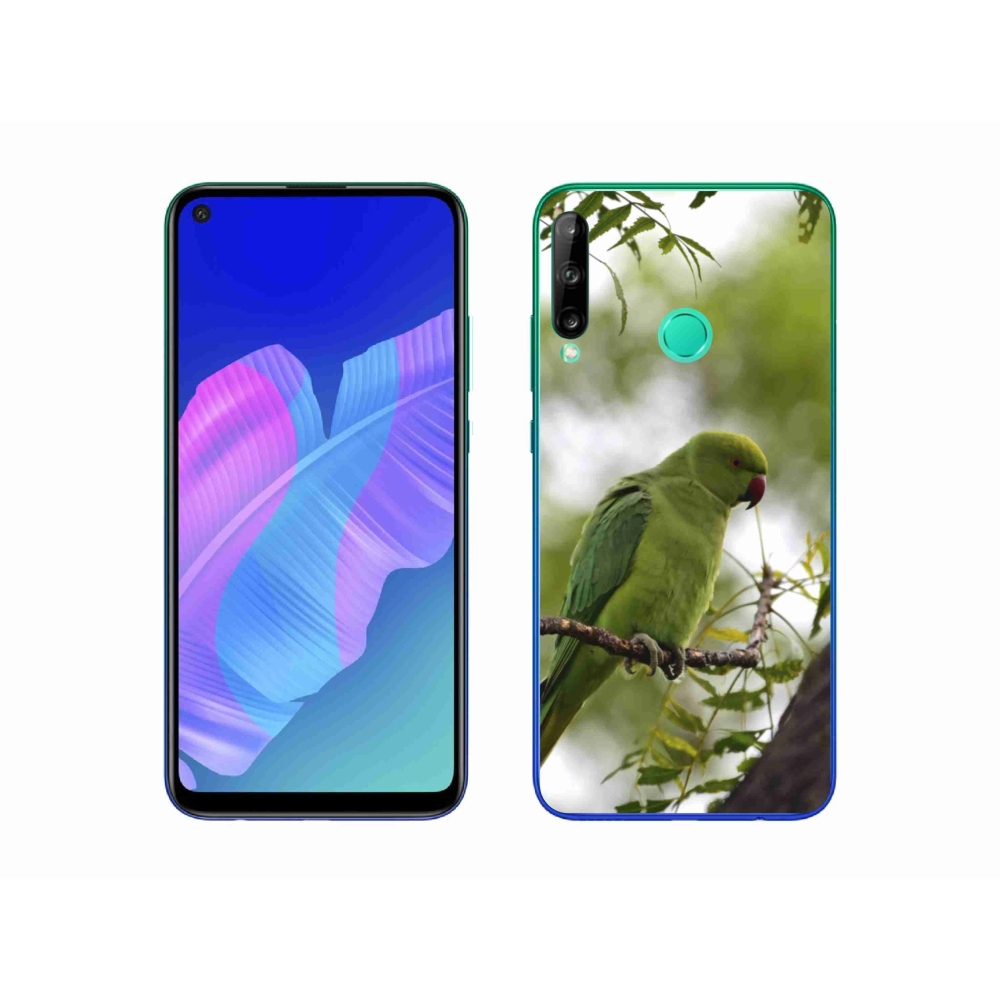 Zselés borítás mmCase a Huawei P40 Lite E készülékhez - zöld papagáj