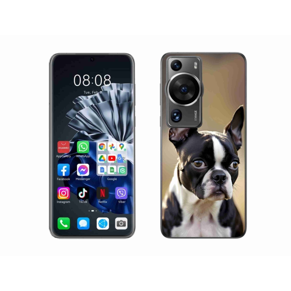 mmCase gél tok a Huawei P60 Pro-hoz – bostoni terrier