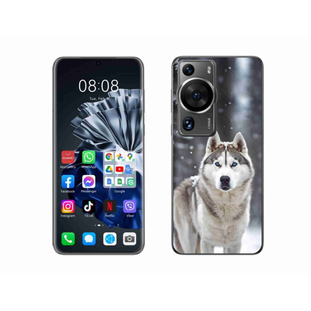 Gél borítás mmCase a Huawei P60 Pro készülékhez - husky 2