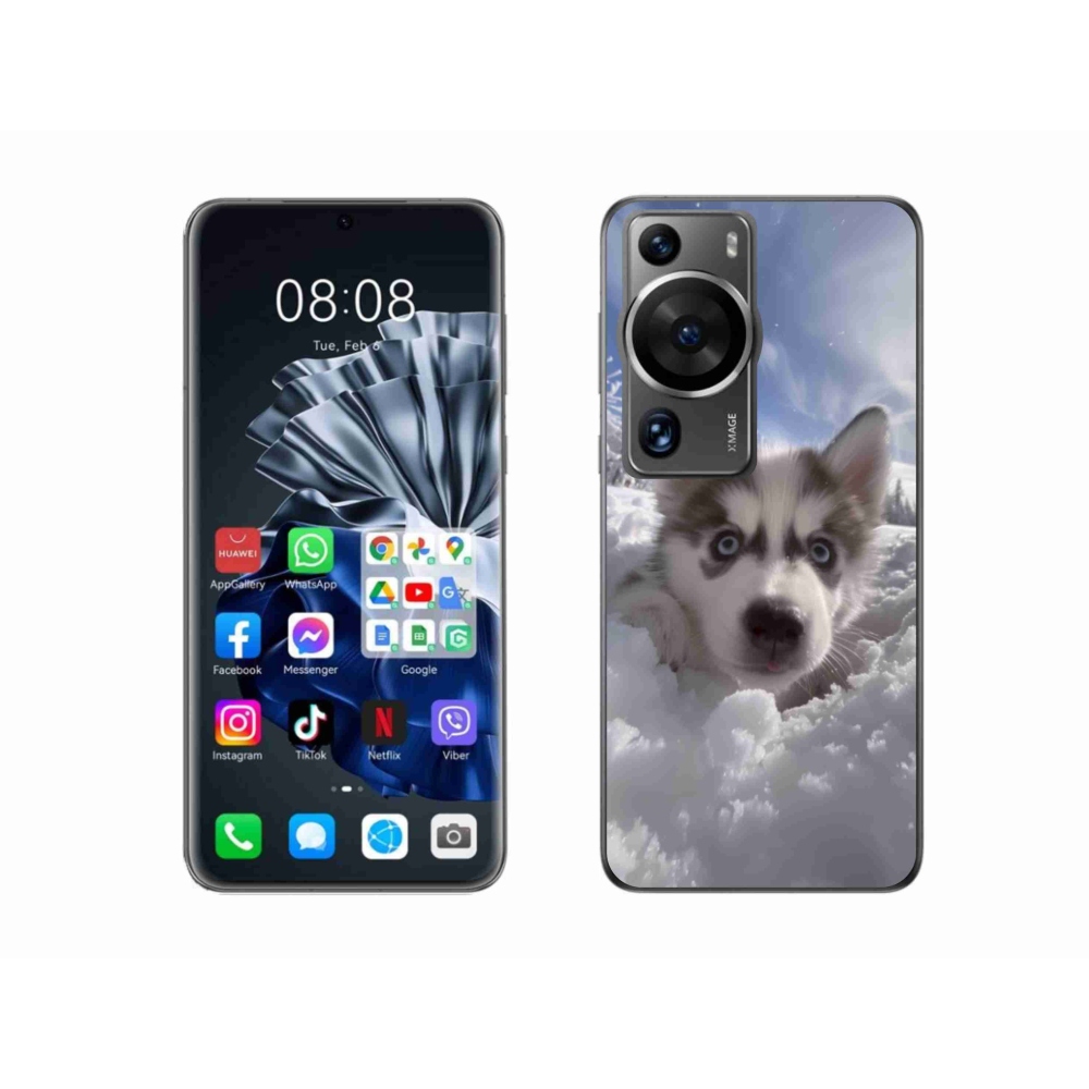 Gél borítás mmCase a Huawei P60 Pro számára - husky a hóban