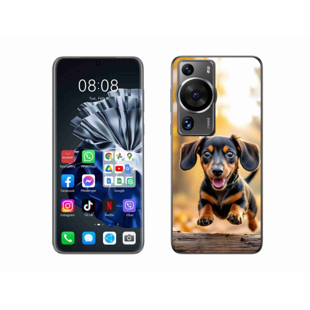 Gél borítás mmCase a Huawei P60 Pro készülékhez - tacskó 2