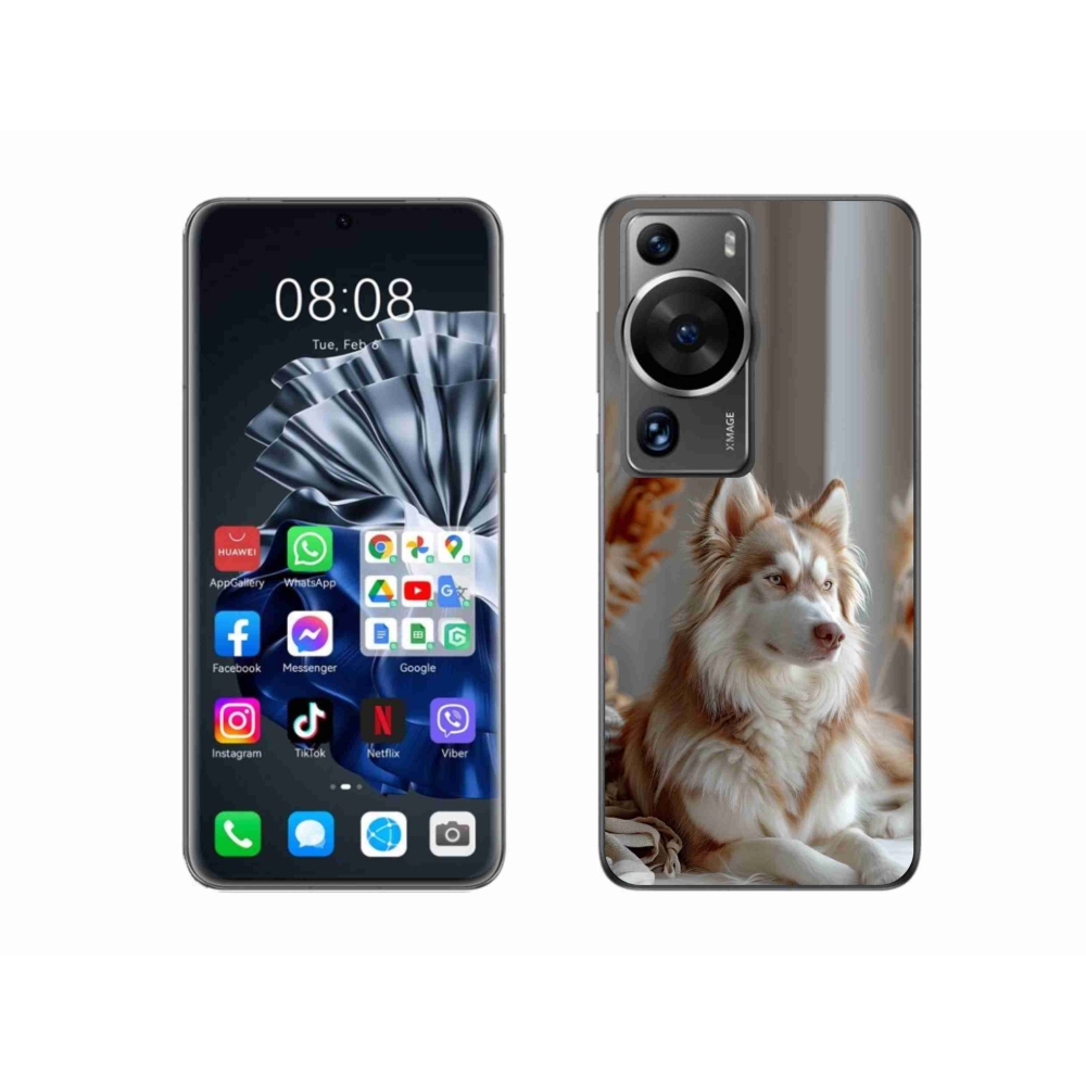 mmCase gél tok a Huawei P60 Pro-hoz – nyugodt szibériai husky