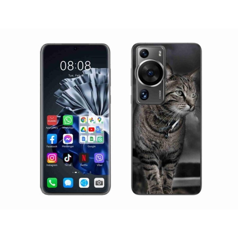 Zselés borítás mmCase a Huawei P60 Pro készülékhez - macska