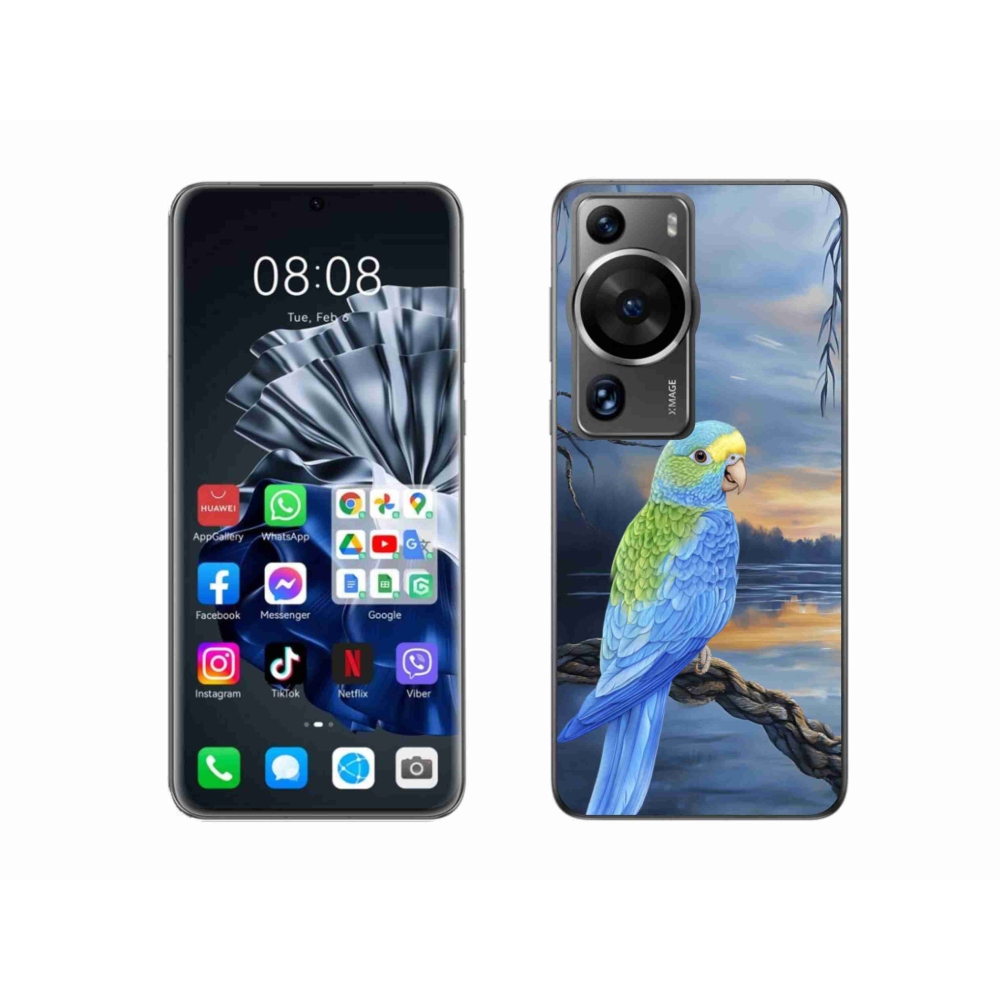 Gél borítás mmCase a Huawei P60 Pro készülékhez - kék papagáj