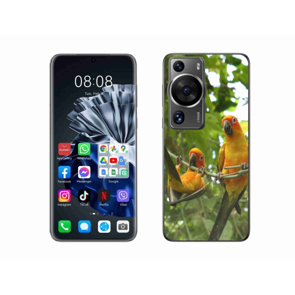 Gél borítás mmCase a Huawei P60 Pro - papagájok aratingy