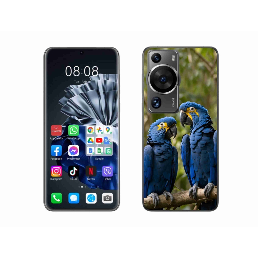 mmCase gél tok a Huawei P60 Pro-hoz – papagáj duó