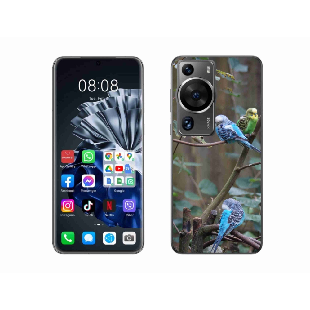 mmCase gél tok a Huawei P60 Pro-hoz – papagájok az ágon