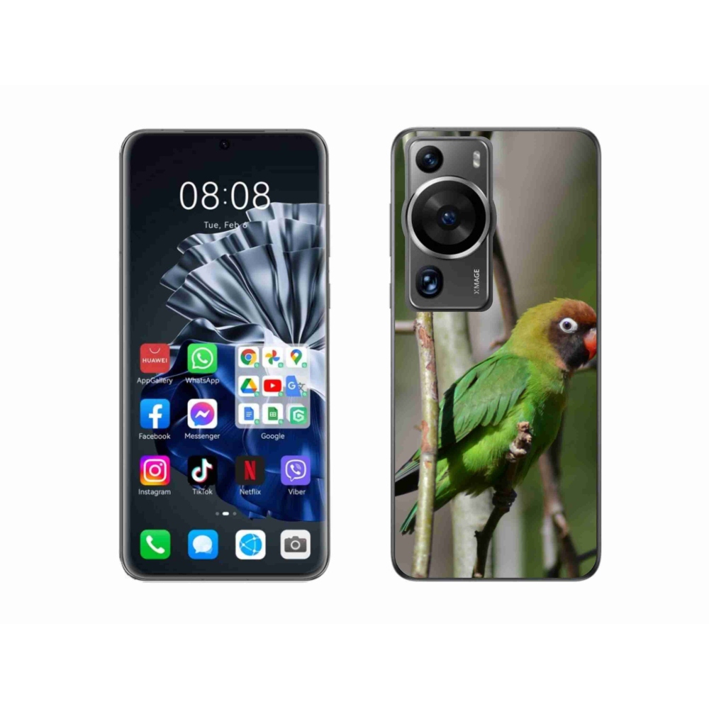 Gél borítás mmCase a Huawei P60 Pro készülékhez - papagáj agapornis