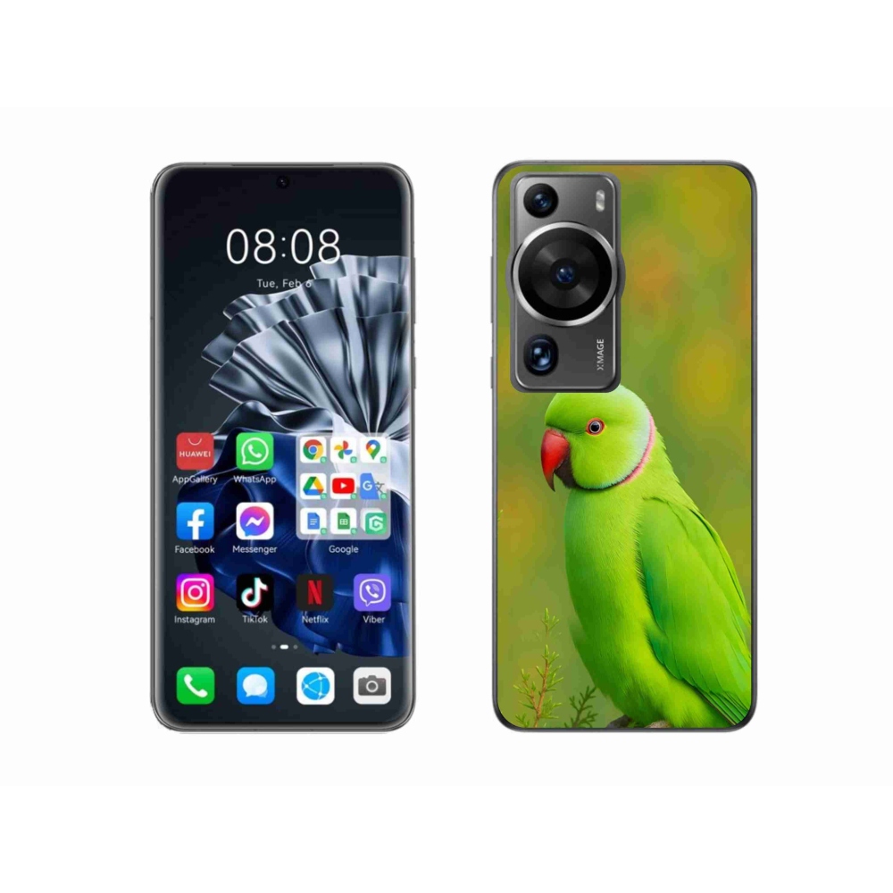 Gél borítás mmCase a Huawei P60 Pro készülékhez - papagáj Alexander 2