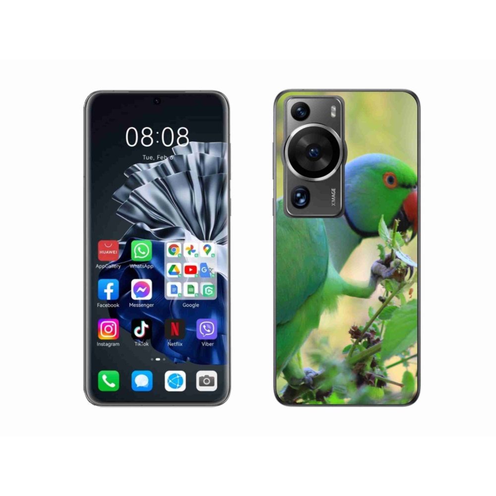 Gél borítás mmCase a Huawei P60 Pro készülékhez - papagáj alexandr