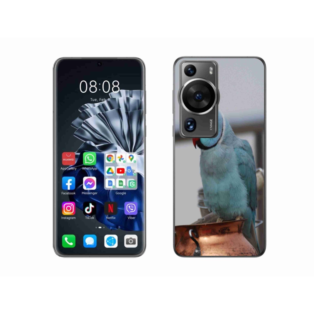 Zselés borítás mmCase a Huawei P60 Pro készülékhez - papagáj alexander kék