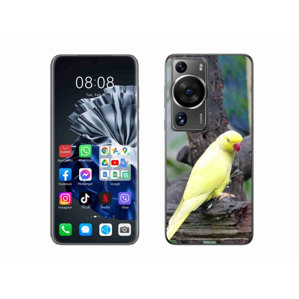 Zselés borítás mmCase a Huawei P60 Pro készülékhez - papagáj alexander sárga