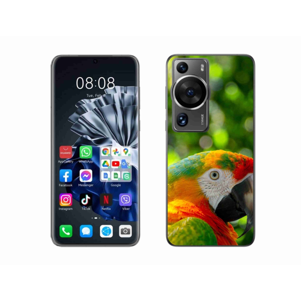 Gél borítás mmCase a Huawei P60 Pro készülékhez - papagáj ara 3