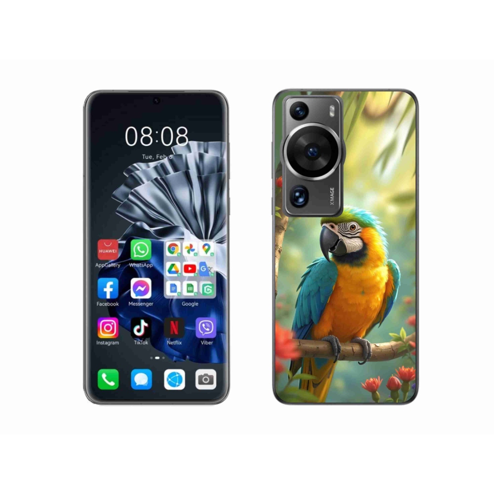 mmCase gél tok a Huawei P60 Pro-hoz – kék-sárga ara papagáj