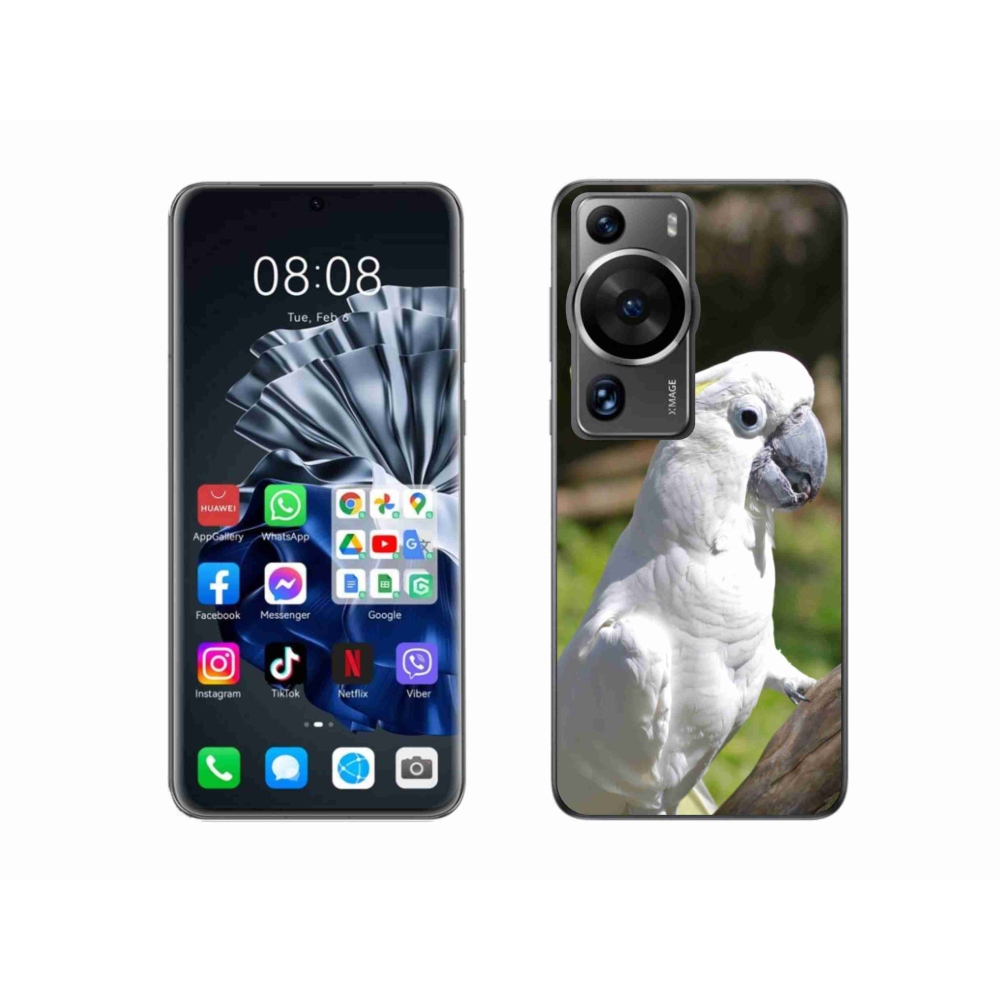 Gél borítás mmCase a Huawei P60 Pro készülékhez - papagáj kakadu 2