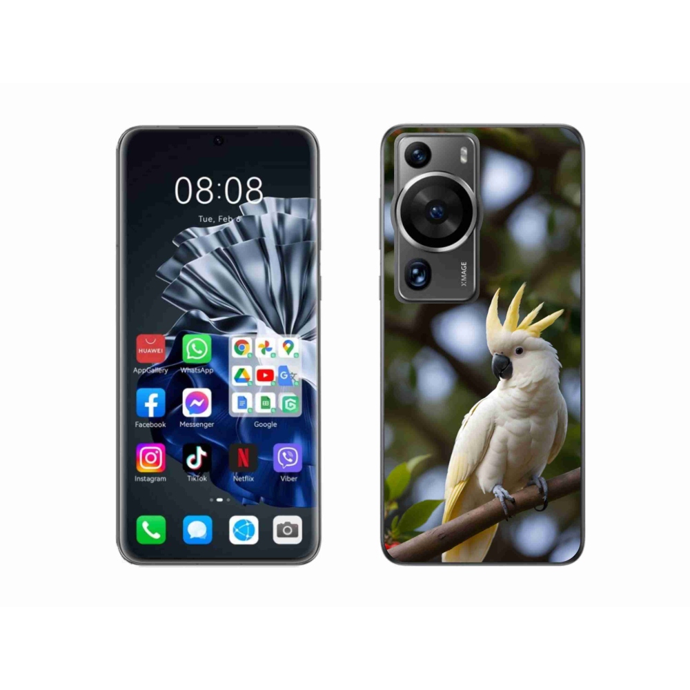 mmCase gél tok a Huawei P60 Pro-hoz – kakadu papagáj 3