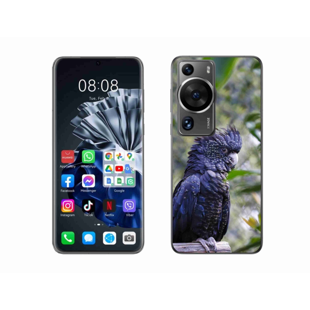 mmCase gél tok a Huawei P60 Pro-hoz – fekete kakadu papagáj