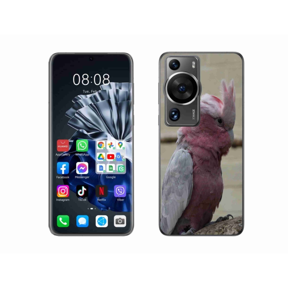 Gél borítás mmCase a Huawei P60 Pro készülékhez - papagáj kakadu rózsaszínű