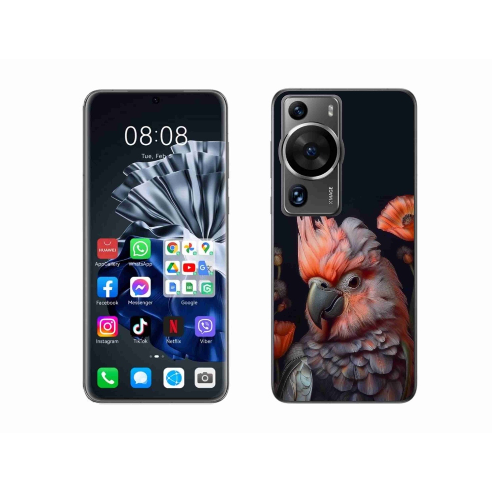 mmCase gél tok a Huawei P60 Pro-hoz – színes kakadu papagáj
