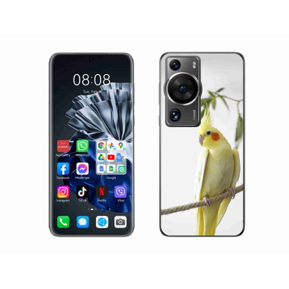 mmCase gél tok a Huawei P60 Pro-hoz – tollas papagáj