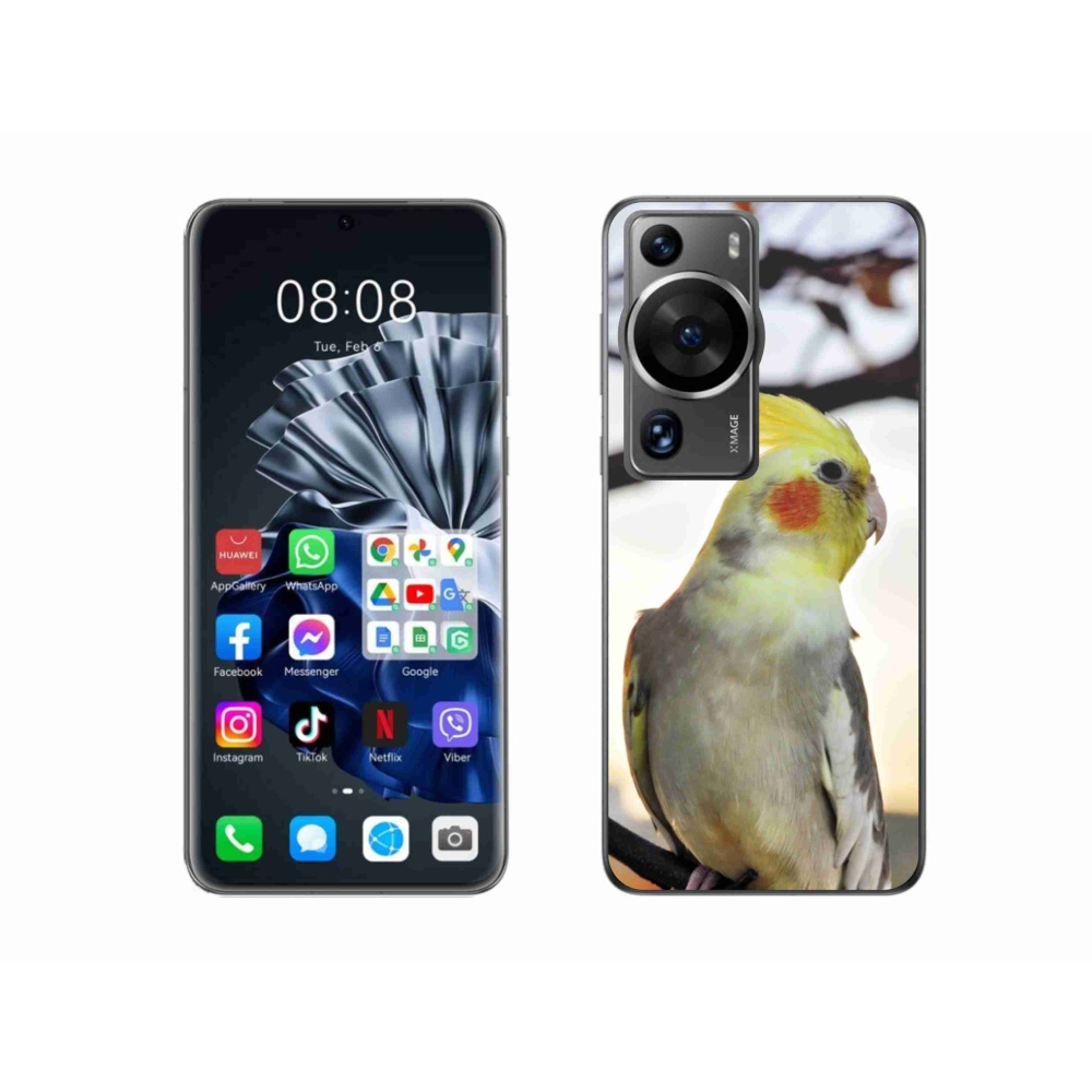 Gél borítás mmCase a Huawei P60 Pro készülékhez - papagáj korela