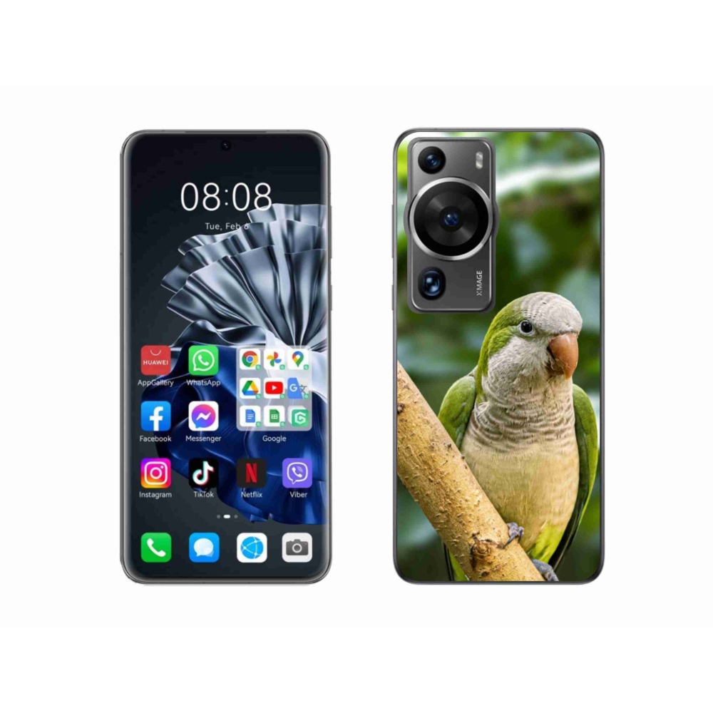 Gél borítás mmCase a Huawei P60 Pro készülékhez - papagáj monk