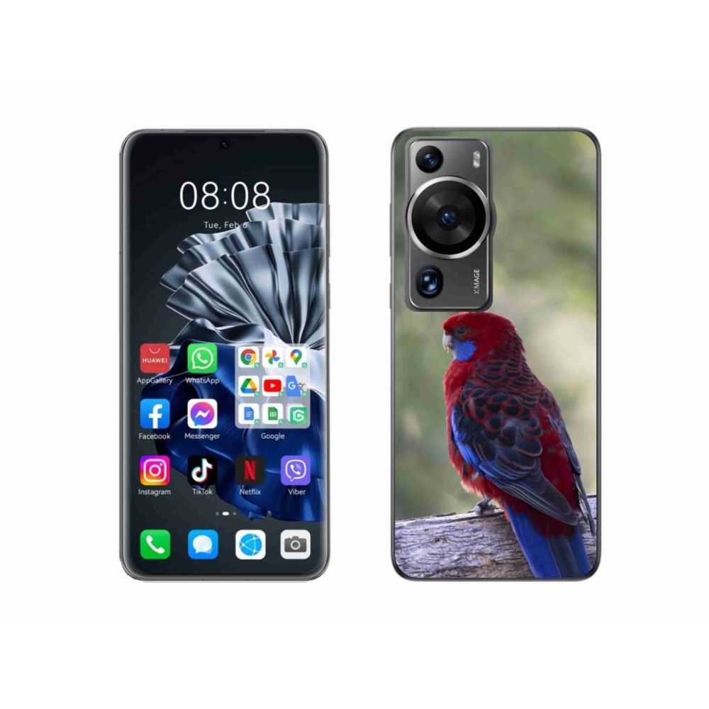 Zselés borítás mmCase a Huawei P60 Pro készülékhez - papagáj rosela