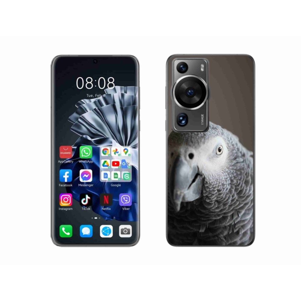 Gél borítás mmCase a Huawei P60 Pro készülékhez - papagáj jacco 2
