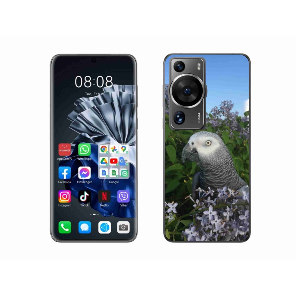 Gél borítás mmCase a Huawei P60 Pro készülékhez - papagáj jacco