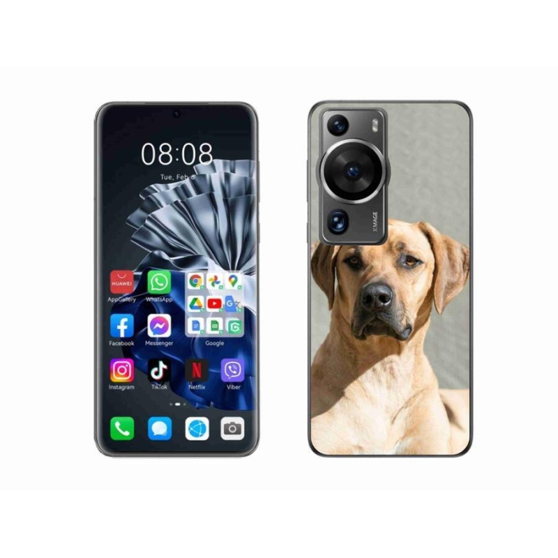 Gél borítás mmCase a Huawei P60 Pro készülékhez - ridgeback