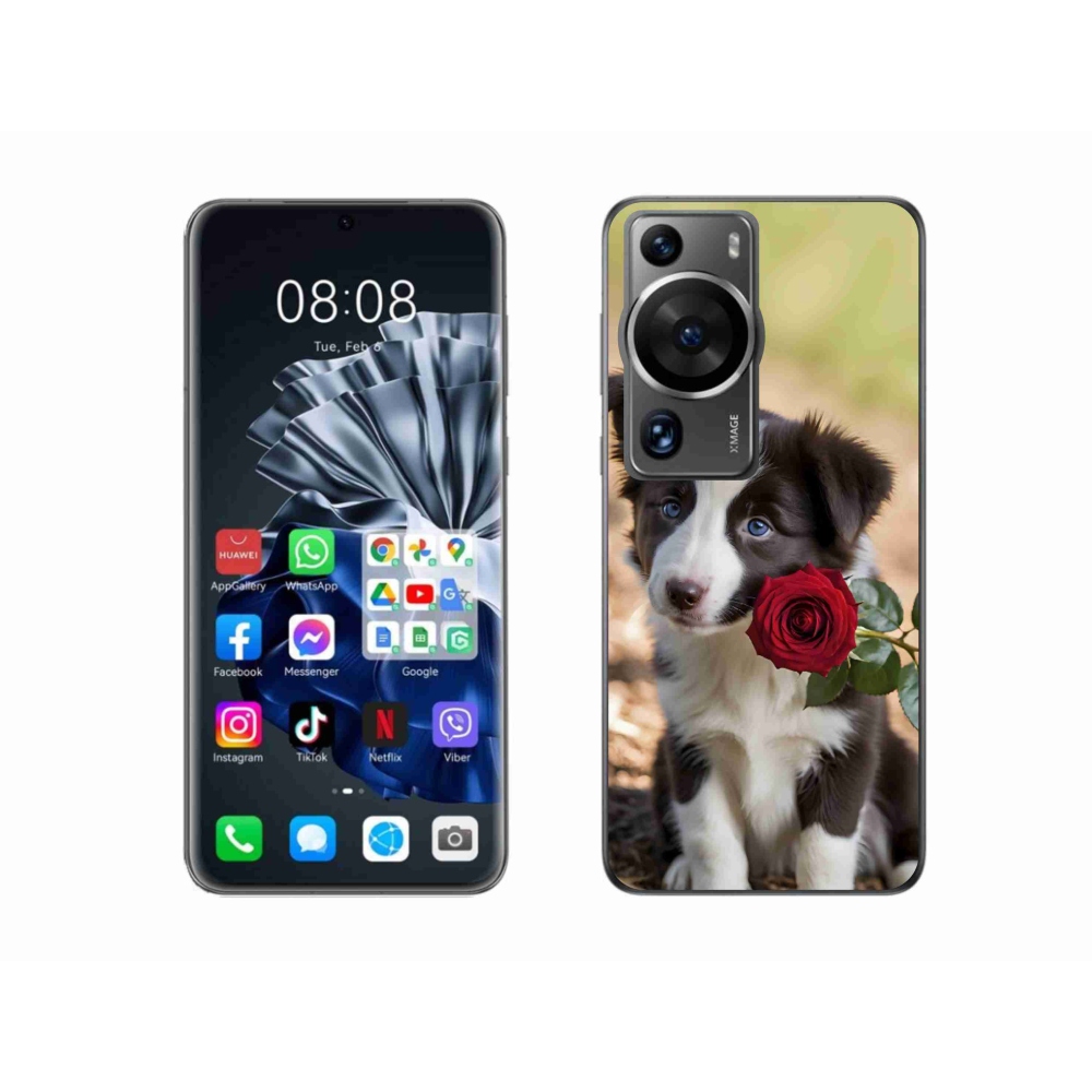 mmCase gél tok a Huawei P60 Pro-hoz – aranyos border collie rózsával