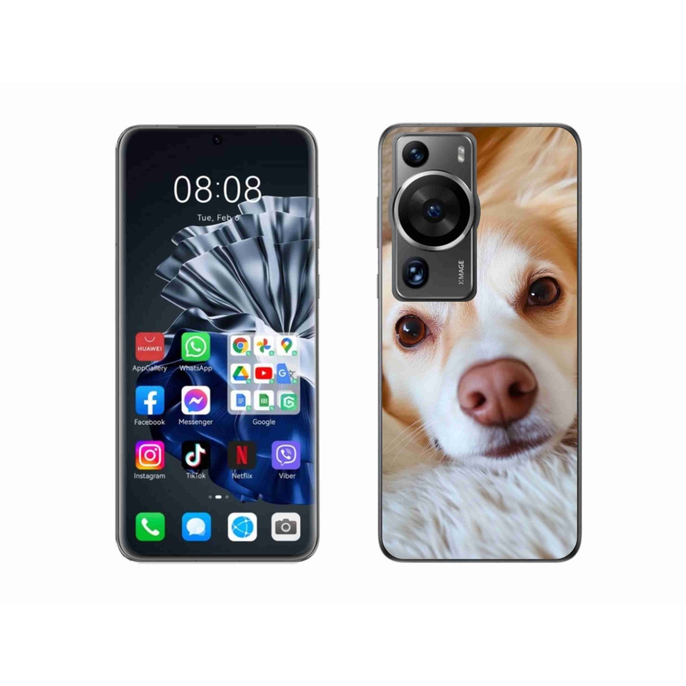 mmCase gél tok a Huawei P60 Pro-hoz – Aranyos csivava