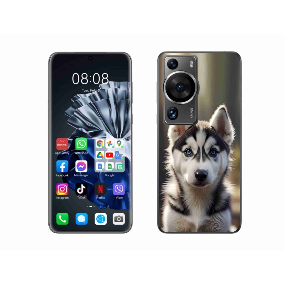 mmCase gél tok a Huawei P60 Pro-hoz – aranyos szibériai husky