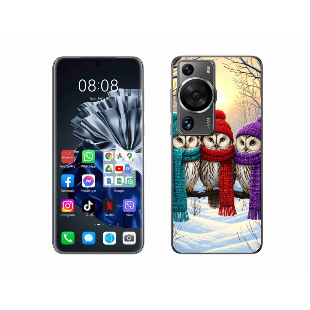 Gél borítás mmCase a Huawei P60 Pro számára - bagoly barátok