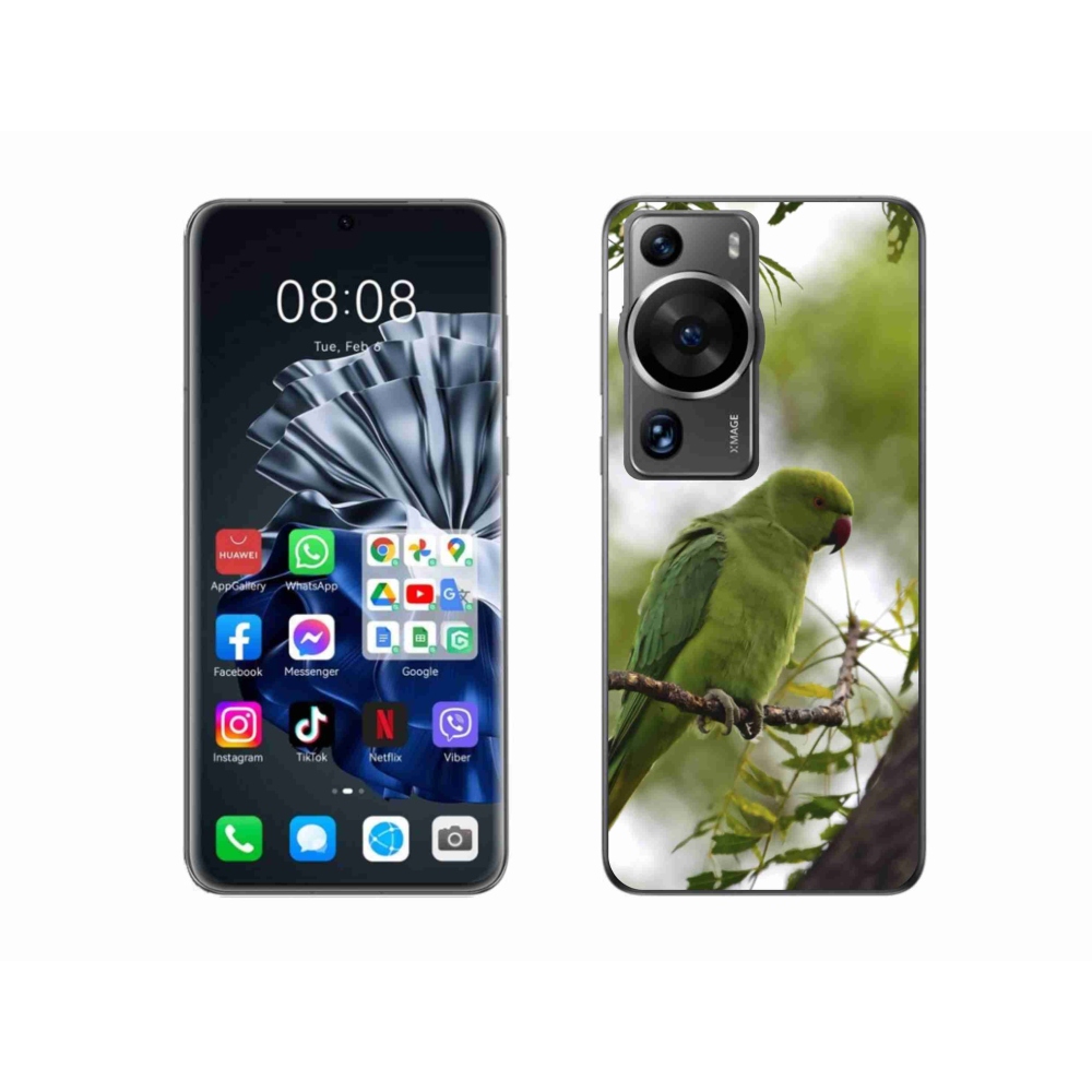 Zselés borítás mmCase a Huawei P60 Pro készülékhez - zöld papagáj