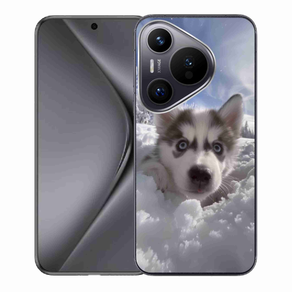 Gél borító mmCase a Huawei Pura 70-hez - husky a hóban