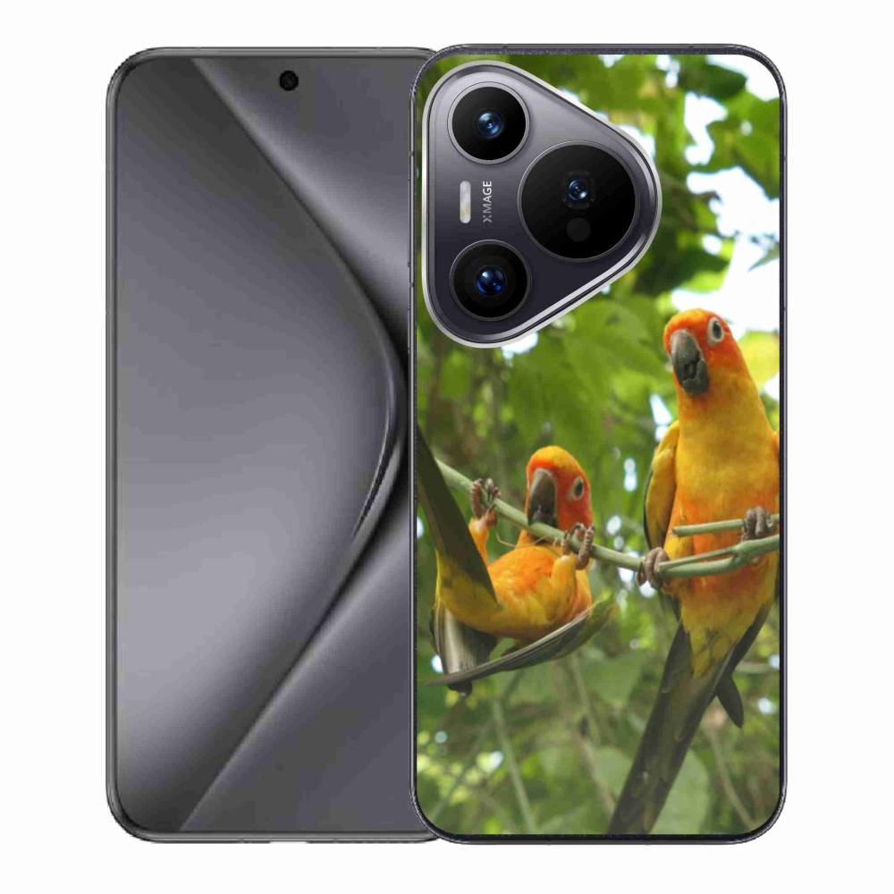 Gél borító mmCase a Huawei Pura 70 - papagájok aratingy