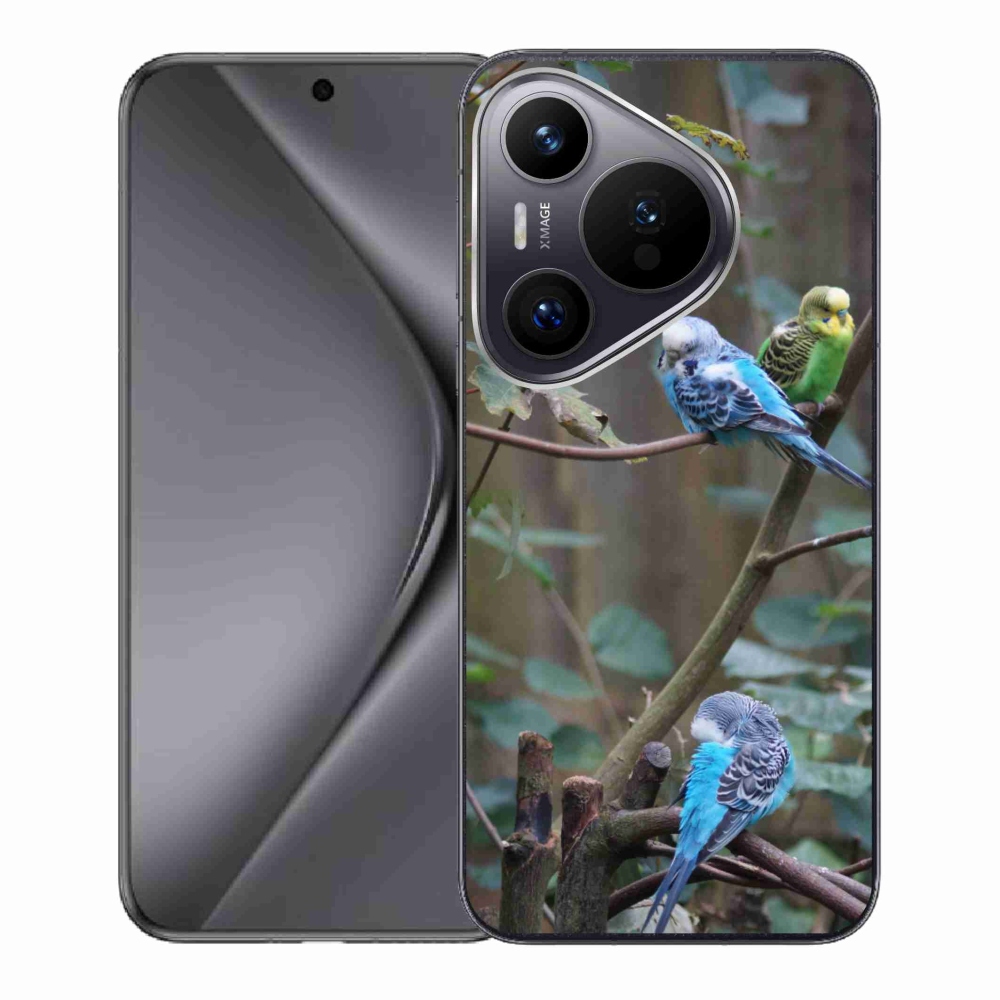 mmCase gél tok a Huawei Pura 70-hez – papagájok az ágon